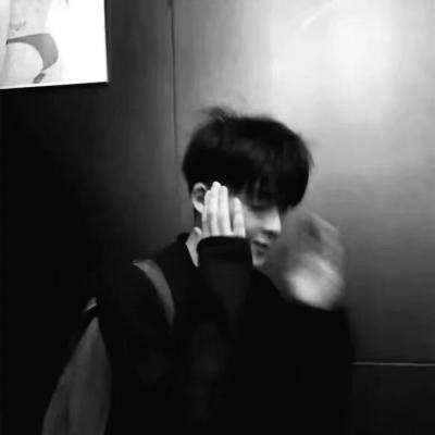 兽设自然元素结合福瑞群